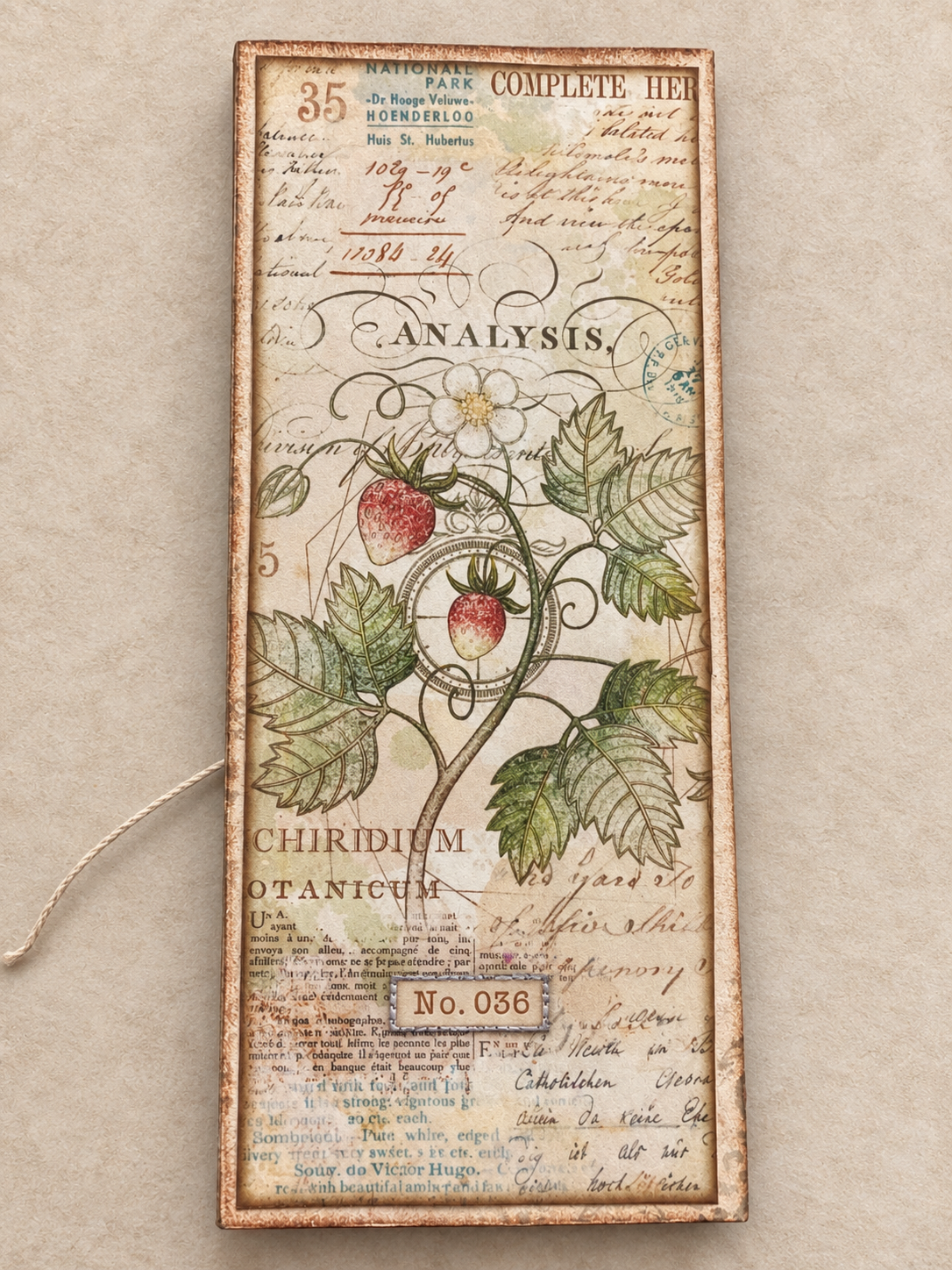 Botanical Tri-Fold Folio with Waterfall - Image 4